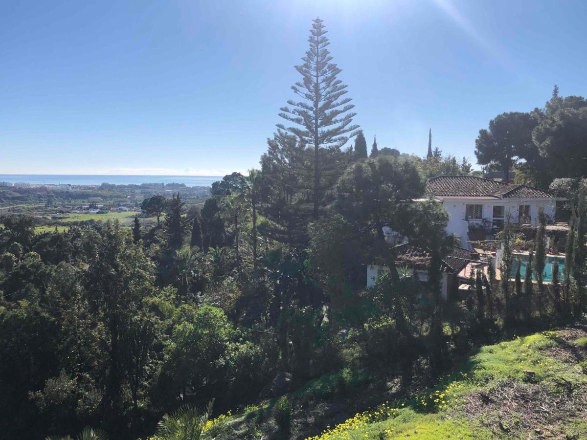 Casa Simba B&B (Adults Only) Estepona Extérieur photo