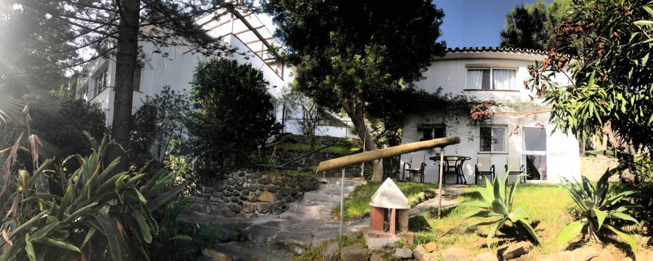 Casa Simba B&B (Adults Only) Estepona Extérieur photo